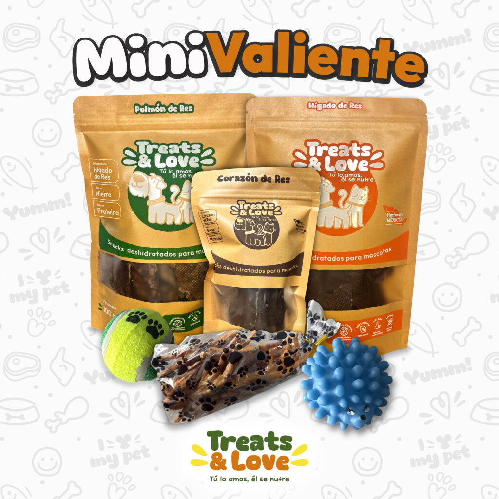 Snacks deshidratados naturales MiniValiente para perros Treats & Love