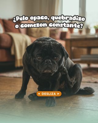 Carrusel_170926-01